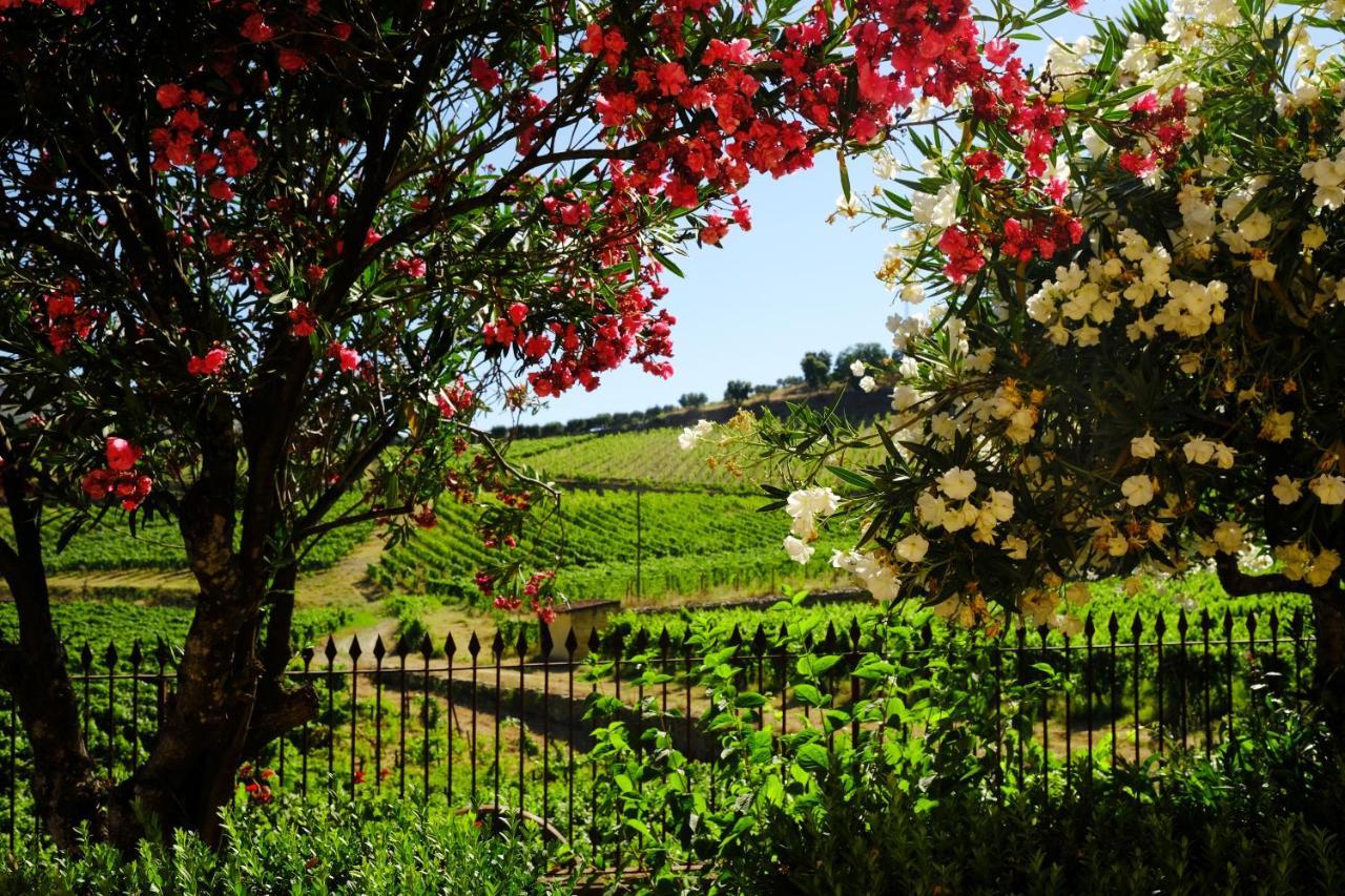Quinta Do Monte Travesso - Country Houses & Winery Tabuaço Eksteriør bilde