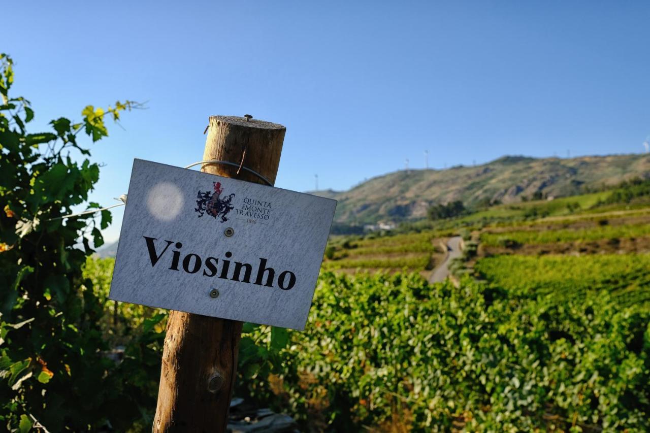 Quinta Do Monte Travesso - Country Houses & Winery Tabuaço Eksteriør bilde